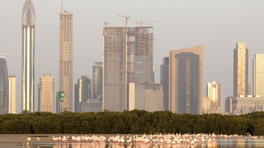 Arabien: Dubai | Bild: NDR/NDR/BBC/Robert Wilcox 2013