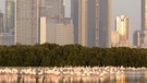 Arabien: Dubai | Bild: NDR/NDR/BBC/Robert Wilcox 2013