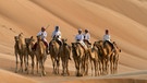 Wildes Arabien: Beduinen mit ihren Dromedaren  | Bild: NDR/NDR/BBC/Chadden Hunter 2013