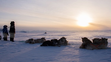 Jäger des Lichts - Grönland | Bild: Catherina Conrad 