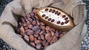 Kakao | Bild: BR