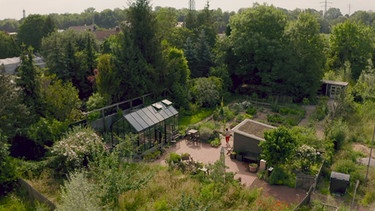 Schattengarten im Querbeet-Garten anlegen mit Sabrina Nitsche und Tobias Bode  | Bild: BR / Florian Dürmer