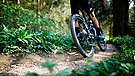 Symbolbild: Mountainbiker im Wald | Bild: picture-alliance/Philipp von Ditfurth