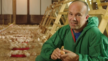 Peter Schubert zieht Hennen wie Hähne groß | Bild: BR