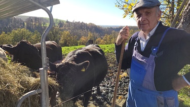 Stallgeschichten: Austragsbauer Hans Ertl mit seinem Vieh auf dem niederbayerischen Gidi-Hof in Hauzenberg | Bild: BR