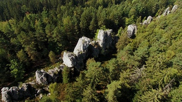 Der bayerische Pfahl, auch Teufelsmauer genannt, erstreckt sich, mal sichtbar mal unsichtbar, über 150 km schnurgerade durch den Bayerischen Wald. | Bild: BR