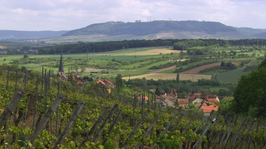 Das fruchtbare Umland von Kitzingen kommt auch dem fränkischen Weinbau zugute | Bild: BR