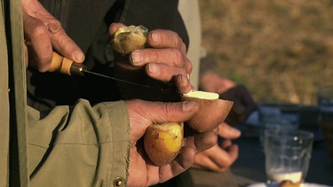 In Toblach gibt's bei der Kartoffelernte von Josef Viertler zur Brotzeit „gesottene Erdäpfel“ mit Butter und Salz. Er hat Saatgut von 90 - 100 Kartoffelsorten. | Bild: BR/Rupert Heilgemeir