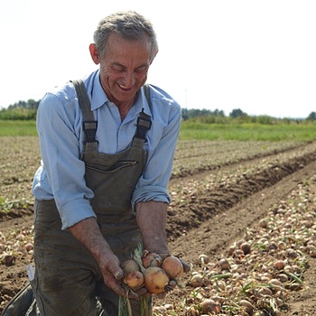 Unter unserem Himmel - Kochgeschichten: Die Zwiebel: Hans Esterl freut sich über die schönen Zwiebeln auf seinem Feld. | Bild: BR