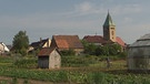 Unter unserem Himmel, Kümmerli und Sonnenhut – im Schweinfurter Mainbogen: Gemüse- und Obstfelder, im Hintergrund ein Dorf mit Kirchturm | Bild: BR