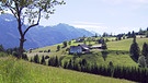 Unter unserem Himmel, Noriker - eine alte Pferderasse: Salzburger Land | Bild: BR