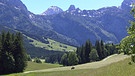 Unter unserem Himmel, Noriker - eine alte Pferderasse: Das Salzburger Land, in der Ferne ein Pferd | Bild: BR