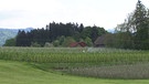 Unter unserem Himmel - Obstbauern am Bodensee: Obtsplantage | Bild: BR