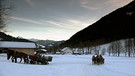 Unter unserem Himmel- Sanfter Tourismus in den Alpen: Zwei Pferdekutschen in einer Schneelandschaft | Bild: BR