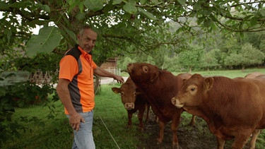 Stefan Baumann lässt seine Limousin-Rinder direkt am Seeufer grasen. | Bild: BR/Volker Schmidt