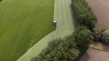 Agroforst: In der Nähe von Freising hat Biobauer Sepp Braun 50.000 Bäume auf seine Felder und Weiden gepflanzt | Bild: BR/Dieter Nothhaft