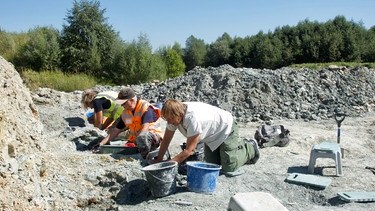 Pforzen: Madelaine Böhme und ihre Mitarbeiter graben nach Fossilien, die vor 11 Millionen Jahren abgelagert wurden. | Bild: BR