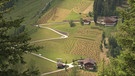 Unter unserem Himmel - Das Villgratental in Osttirol: Ein schmaler Weg führt im Zickzack durchs Tal, vereinzelt stehen Häuser. | Bild: BR