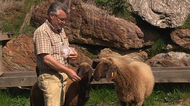 Unter unserem Himmel - Das Villgratental in Osttirol: Josef Schett füttert seine Schafe. | Bild: BR