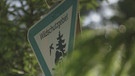 Unter unserem Himmel - Wälder in Bayern: Dreieckiges Schild im Wald mit der Aufschrift "Wildschutzgebiet" | Bild: BR