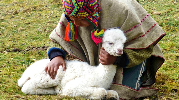 Peru: Kind übernimmt Patenschaft für ein Alpaka | Bild: BR/Angelika Vogel