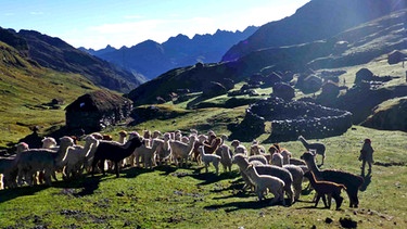 Dorf des Hochlandvolkes der Q'eros auf 4.800 Metern | Bild: BR/Angelika Vogel