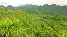 Cuc Phuong-Nationalpark  | Bild: BR