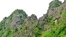 Felsen der Delacour-Languren | Bild: BR