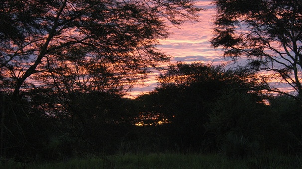 Gorongosa-Nationalpark | Bild: BR/Bernd Strobel