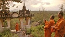 Mönche und ihre Makaken in Thailand | Bild: BR