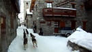Schlittenhunde am Mont Blanc | Bild: BR