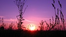 Sonnenuntergang in Osteuropa | Bild: BR/BPA