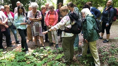 Kräuterexpertin Monika Engelmann zegt auf eine Karte im Wald | Bild: BR