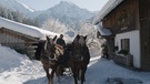 Ausflugsfahrt mit Pferdekutsche in den verscheniten Bergen  | Bild: BR