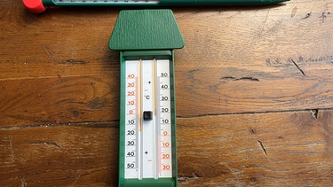 Thermometer für den Garten | Bild: Andreas Modery