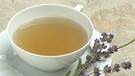 Eine Tasse Tee mit getrockneten Lavendelblüten | Bild: picture-alliance/dpa