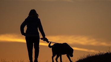 Mensch mit Hund an der Leine | Bild: BR Bild