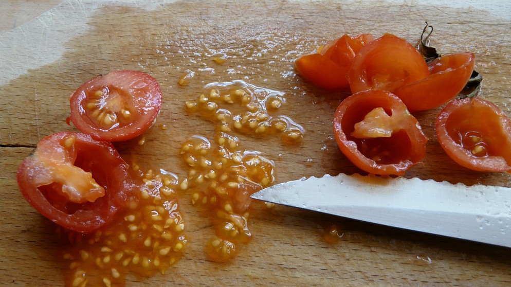 Tomatensamen ernten | Bild: Brigitte Goss