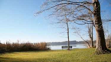 Freizeittipp: der Simssee | Bild: Wir in Bayern
