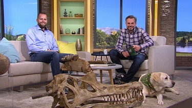 Moderator Michael Sporer mit Peter Kapustin, Betreiber eines privaten Dino-Museums, und Hund Henry | Bild: BR