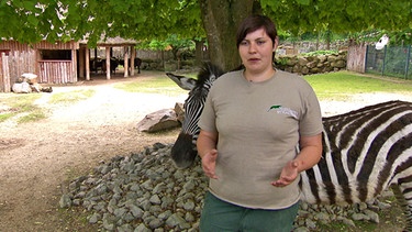 Jessica Neumann, Tierpflegerin im Tiergarten Straubing  | Bild: BR