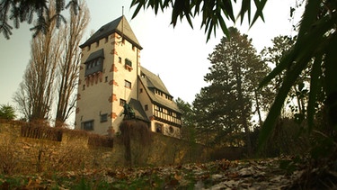 Burg Gentil in Aschaffenburg | Bild: BR