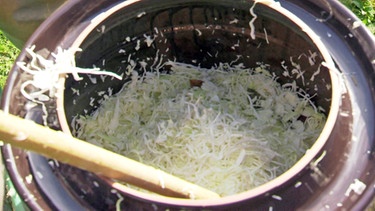 Sauerkraut selbst machen | Bild: picture-alliance/dpa