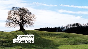 Baum ohne Bätter Zwischen Spessart und Karwendel | Bild: BR