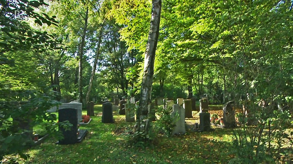 Friedhof mit Grabsteinen unter Bäumen | Bild: BR