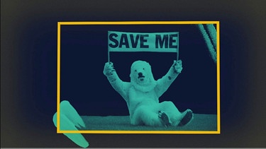 Mensch im Eisbärenkostüm hält Schild "Save me" hoch. | Bild: BR, picture-alliance/dpa, colourbox.com; Montage: BR
