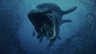 Gigantische Kiefer und ein muskelbepackter Körper machten den Mosasaurus zum Herrscher der Meere. Zwanzig Millionen Jahre lang bevölkerte er alle Weltmeere. | Bild: Autentic GmbH/BR