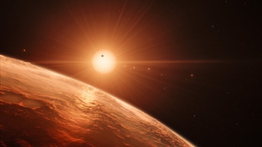 Illustration: Das TRAPPIST-1 Planetensystem. Könnte es hier außerirdisches Leben geben? | Bild: ESO/spaceengine.org/N. Bartmann