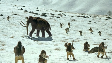 Mammutjagd. Das Mammut ist eine ausgestorbene Elefantengattung, die bis zum Holozän lebte. | Bild: BR/NHK