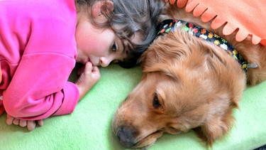 Hund und Kind schlafen friedlich nebeneinander | Bild: picture-alliance/dpa